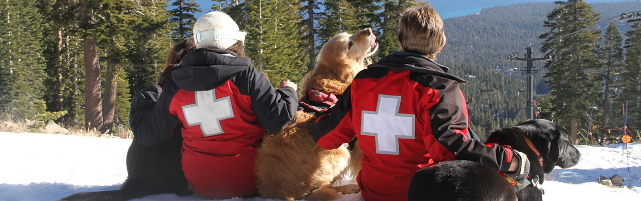 Ski patrol resting with their rescue dogs